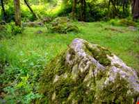 پارک جنگلی سی سنگان