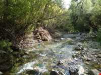 روستای ارنگه