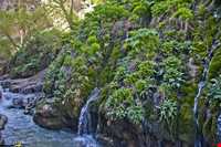 روستای ارنگه