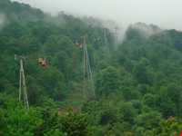 پارک جنگلی نمک آبرود