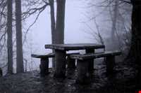 پارک جنگلی نمک آبرود