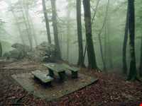 پارک جنگلی نمک آبرود