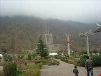 پارک جنگلی نمک آبرود