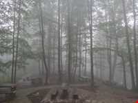 پارک جنگلی نمک آبرود