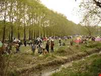 گویش محلی مردم البرز