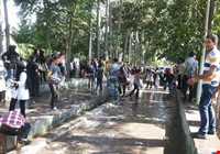 بازی محلی آب اومد، کدوم آب