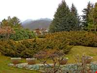 Iran Wildlife and Nature Museum ( Darabad )