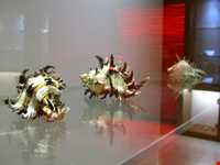 Iran Wildlife and Nature Museum ( Darabad )