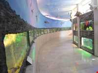 Iran Wildlife and Nature Museum ( Darabad )