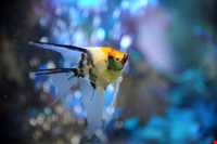 Iran Wildlife and Nature Museum ( Darabad )