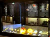 Iran Wildlife and Nature Museum ( Darabad )