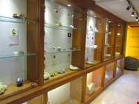 Iran Wildlife and Nature Museum ( Darabad )