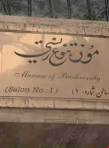 موزه تنوع زیستی