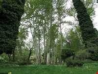 Niavaran Palace complex