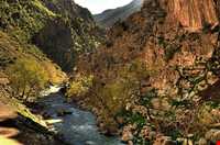 روستای پالنگان