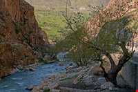 روستای پالنگان