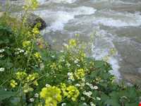 روستای پالنگان