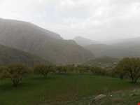 روستای پالنگان