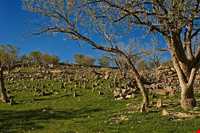روستای پالنگان