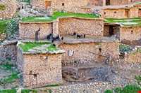 روستای پالنگان