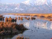 Zarivar Lake ( Zeribar )