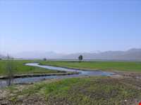 Zarivar Lake ( Zeribar )