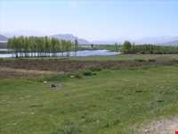 Zarivar Lake ( Zeribar )
