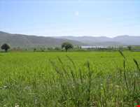 Zarivar Lake ( Zeribar )