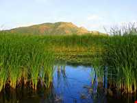 Zarivar Lake ( Zeribar )