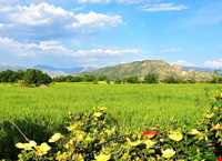 Zarivar Lake ( Zeribar )