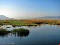 Zarivar Lake ( Zeribar )