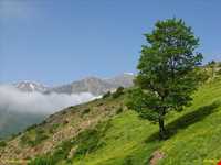 آبشار هریجان