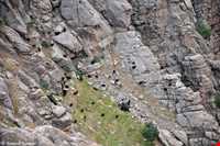 Hewraman Village ( Avroman - Hawraman takht )