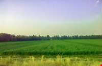 دریاچه سراب قروه