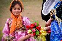 جشن و مراسم عروسی