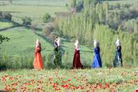 جشن و مراسم عروسی