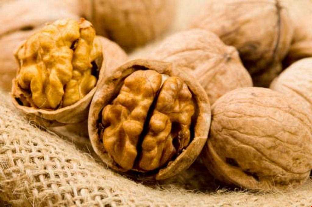 سوغات موجان