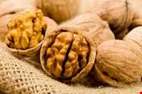 سوغات موجان