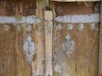 گویش موجانی ها