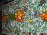 گویش موجانی ها