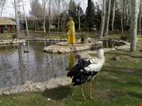 باغ پرندگان اصفهان