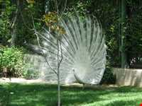 باغ پرندگان اصفهان