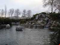 Isfahan Flowers garden