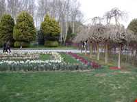 Isfahan Flowers garden