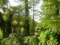 Isfahan Flowers garden