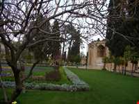 باغ جهان نما