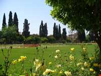 باغ جهان نما