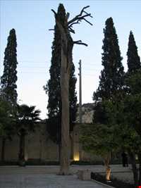 باغ جهان نما