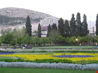 باغ جهان نما