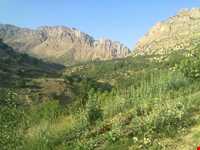 آبشار مارگون